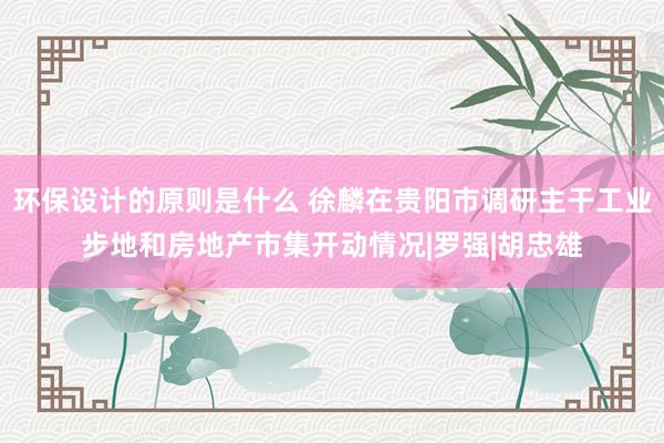 环保设计的原则是什么 徐麟在贵阳市调研主干工业步地和房地产市集开动情况|罗强|胡忠雄