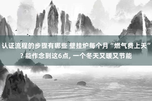 认证流程的步骤有哪些 壁挂炉每个月“燃气费上天”? 能作念到这6点, 一个冬天又暖又节能