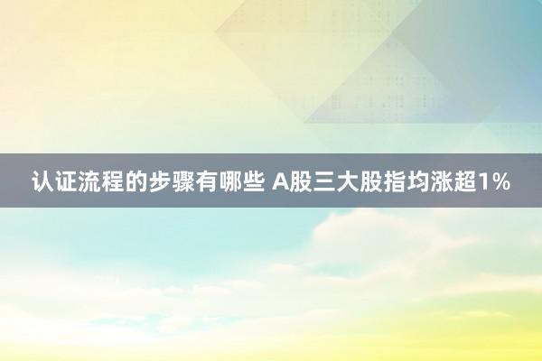 认证流程的步骤有哪些 A股三大股指均涨超1%