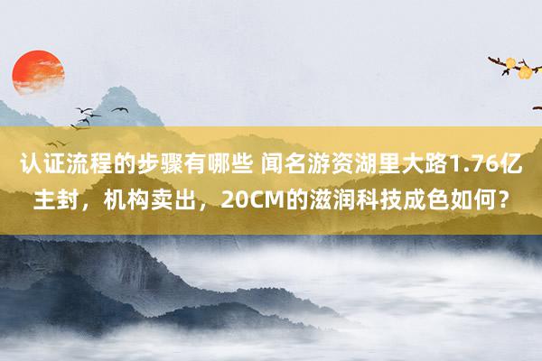 认证流程的步骤有哪些 闻名游资湖里大路1.76亿主封，机构卖出，20CM的滋润科技成色如何？