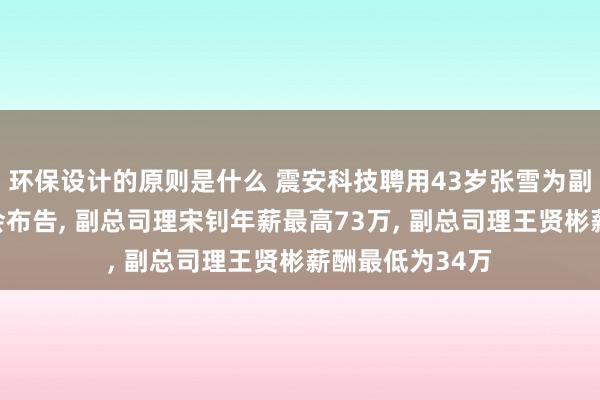 环保设计的原则是什么 震安科技聘用43岁张雪为副总司理及董事会布告, 副总司理宋钊年薪最高73万, 副总司理王贤彬薪酬最低为34万