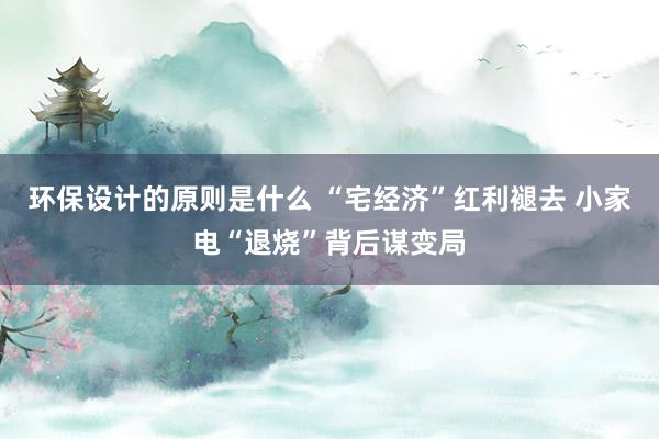 环保设计的原则是什么 “宅经济”红利褪去 小家电“退烧”背后谋变局