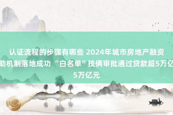 认证流程的步骤有哪些 2024年城市房地产融资相助机制落地成功 “白名单”技俩审批通过贷款超5万亿元