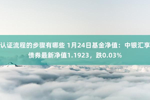 认证流程的步骤有哪些 1月24日基金净值：中银汇享债券最新净值1.1923，跌0.03%