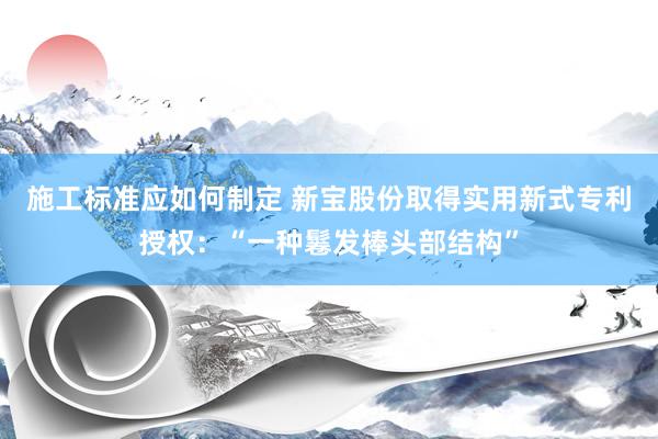 施工标准应如何制定 新宝股份取得实用新式专利授权：“一种鬈发棒头部结构”